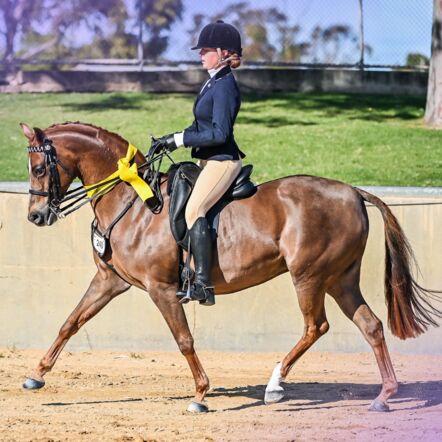 Photo of Jessie riding her horse in dressage uniform