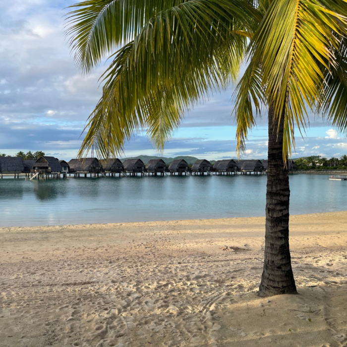 a beachside in Fiji with huts along the water and a palm tree on the right in the sand