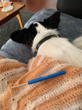 Belle's dog rests on the couch under her latest crochet creation.